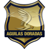 Rionegro Águilas Logo